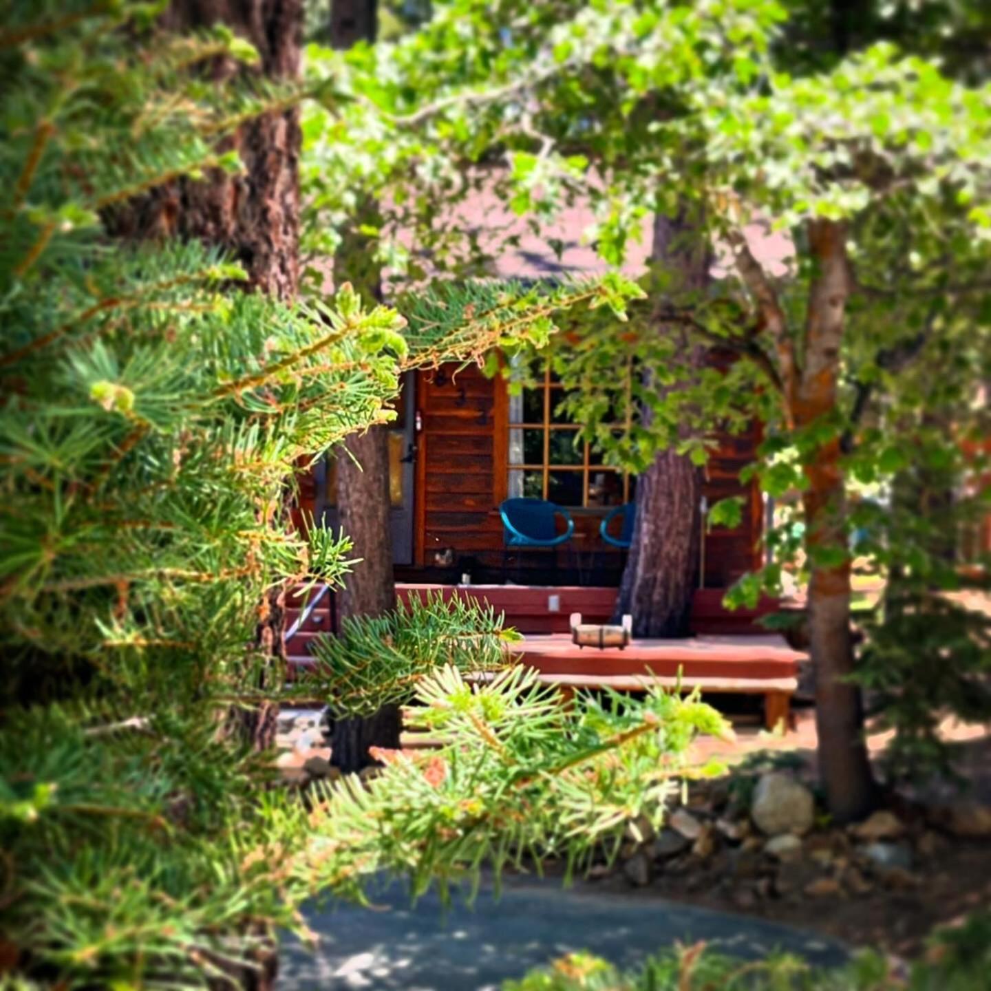 빅 베어 레이크 The Nest On Towne Trail - Hot Tub, Bbq, Fire Pit 빌라 외부 사진